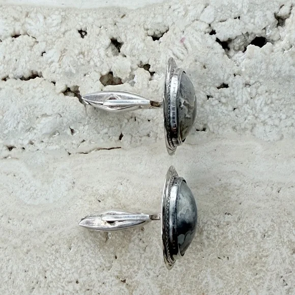 Elegant Silver and Gray Stone Earrings